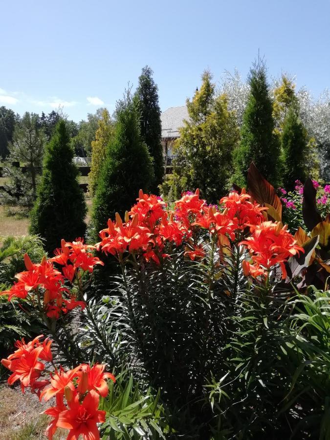 Eko Oaze Villa Pērkone Екстериор снимка