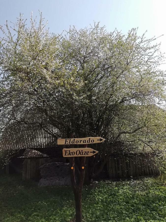 Eko Oaze Villa Pērkone Екстериор снимка